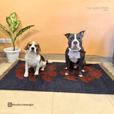 Paws Jute Handwoven Dhurrie