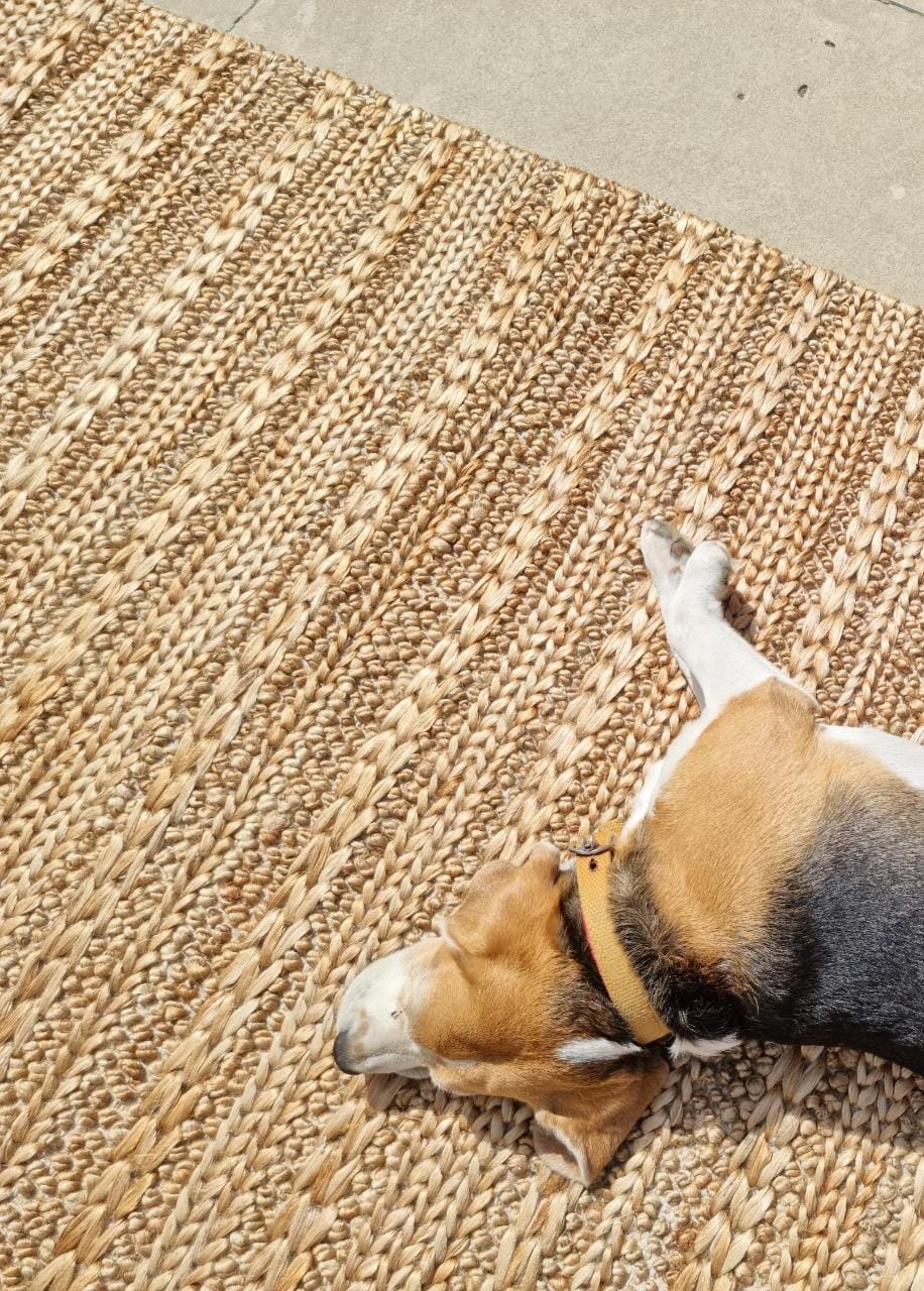 Multi Braided Jute Handwoven Rug - The Rugs Story