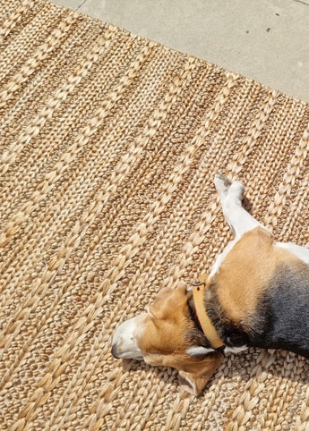 Multi Braided Jute Handwoven Rugrugs